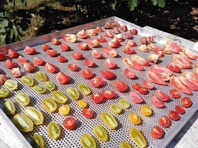 Udruženje građana Nešto Više