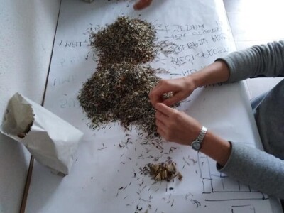 Udruženje građana Nešto Više