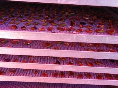 Udruženje građana Nešto Više