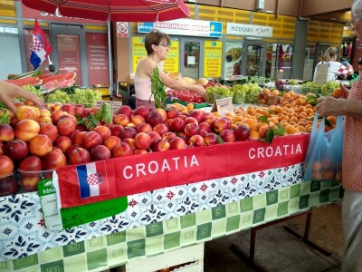 udruženje probaj domaće