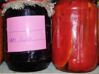 Udruženje žena Gnojnica
