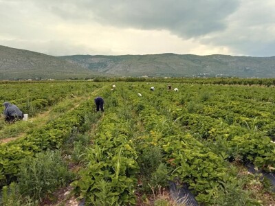 Udruženje žena "Most" Jablanica nudi perspektivu i nadu za 120 žena