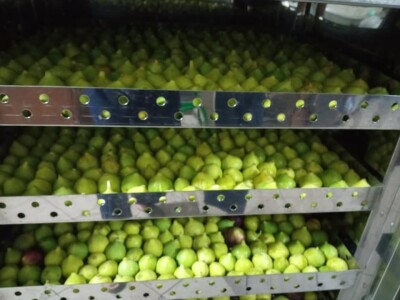 Udruženje žena "Most" Jablanica nudi perspektivu i nadu za 120 žena