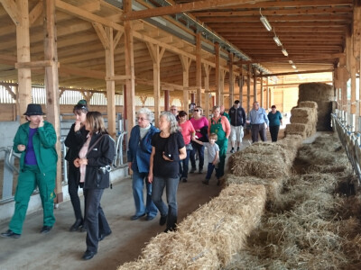 Unutrašnjost farme krava