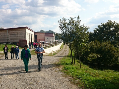 U pozadini farma krafa