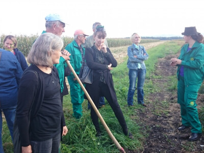 U kompostnu hrpu dodaju se biodinamički pripravci