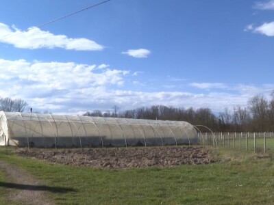 Novih 20 plastenika za dobojske domaćine