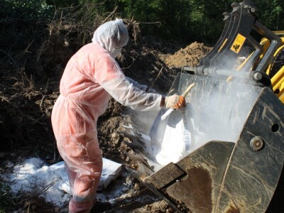 Ukopavanje uginulih i eutanaziranih svinja koje su bile oboljele ASK