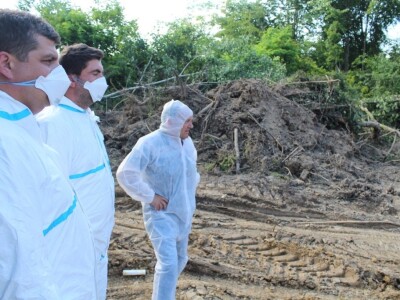 Ukopavanje uginulih i eutanaziranih svinja koje su bile oboljele ASK