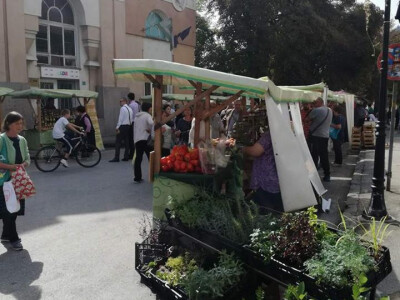 Ukrasno bilje i začini