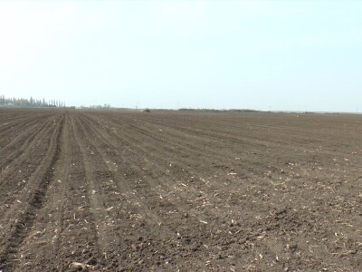 ulaganje u poljoprivredu Ruma