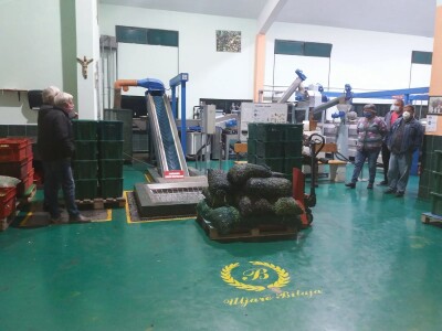 Uljara Bilaja Uljara Bilaja