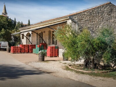 Uljara Grubić Uljara Grubić