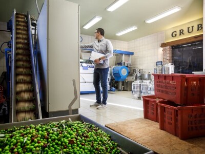 Uljara Grubić Uljara Grubić