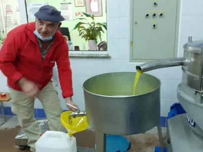 Uljara Laća