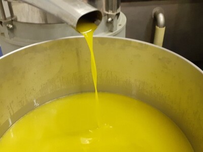 Uljara Laća Uljara Laća