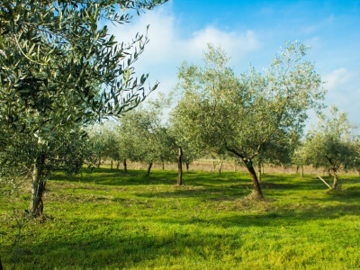 prava prirodna razglednica prava prirodna razglednica