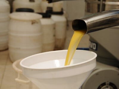 Extra djevičansko maslinovo ulje Cres