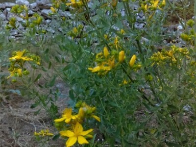 Vrijeme je za branje