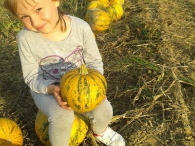 Igra koja će jednom možda biti posao Igra koja će jednom možda biti posao