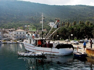 Ulov i trženje srdele
