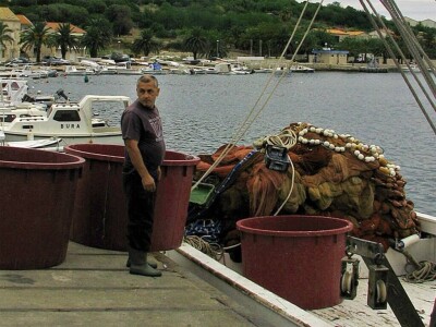 Ulov i trženje srdele
