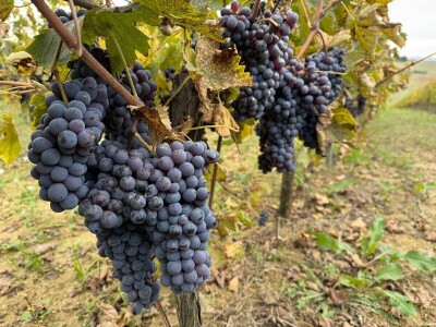 Umbrija Italija 2024