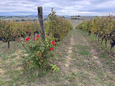 Umbrija Italija 2024