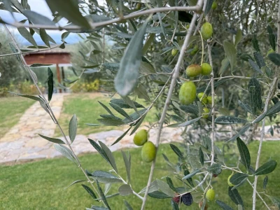 Umbrija Italija 2024
