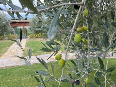 Umbrija Italija 2024