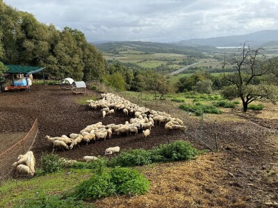 Umbrija Italija 2024