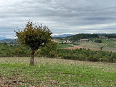 Umbrija Italija 2024