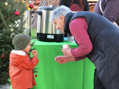 Unajmite živo božićno drvce - rješenje koje nudi Grad Pula i komunalno poduzeće Pula Herculanea