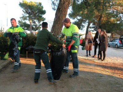 Unajmite živo božićno drvce - rješenje koje nudi Grad Pula i komunalno poduzeće Pula Herculanea