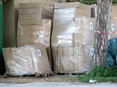 Unajmite živo božićno drvce - rješenje koje nudi Grad Pula i komunalno poduzeće Pula Herculanea