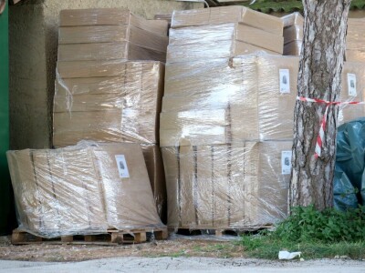 Unajmite živo božićno drvce - rješenje koje nudi Grad Pula i komunalno poduzeće Pula Herculanea