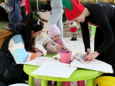 Unajmite živo božićno drvce - rješenje koje nudi Grad Pula i komunalno poduzeće Pula Herculanea