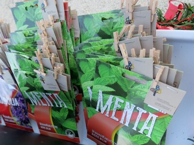 Unajmite živo božićno drvce - rješenje koje nudi Grad Pula i komunalno poduzeće Pula Herculanea