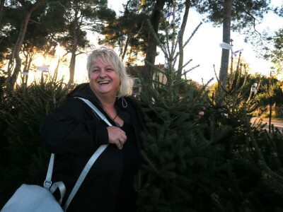 Unajmite živo božićno drvce - rješenje koje nudi Grad Pula i komunalno poduzeće Pula Herculanea