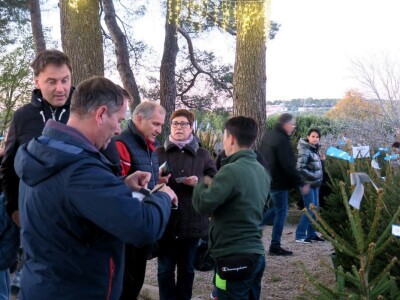 Unajmite živo božićno drvce - rješenje koje nudi Grad Pula i komunalno poduzeće Pula Herculanea