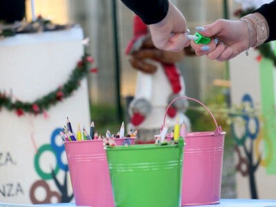 Unajmite živo božićno drvce - rješenje koje nudi Grad Pula i komunalno poduzeće Pula Herculanea