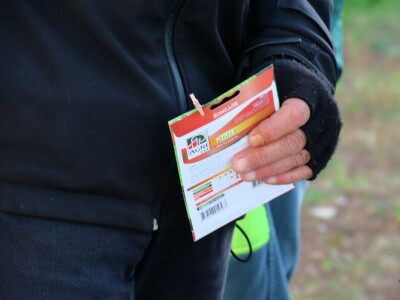 Unajmite živo božićno drvce - rješenje koje nudi Grad Pula i komunalno poduzeće Pula Herculanea