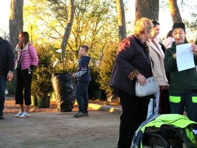 Unajmite živo božićno drvce - rješenje koje nudi Grad Pula i komunalno poduzeće Pula Herculanea