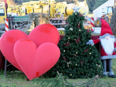 Unajmite živo božićno drvce - rješenje koje nudi Grad Pula i komunalno poduzeće Pula Herculanea