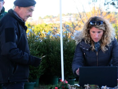 Unajmite živo božićno drvce - rješenje koje nudi Grad Pula i komunalno poduzeće Pula Herculanea