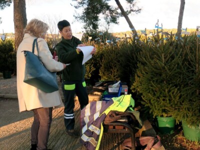 Unajmite živo božićno drvce - rješenje koje nudi Grad Pula i komunalno poduzeće Pula Herculanea