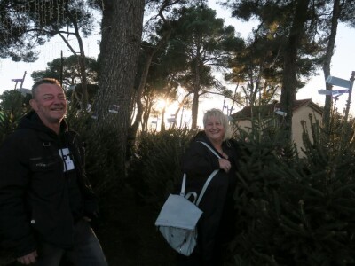 Unajmite živo božićno drvce - rješenje koje nudi Grad Pula i komunalno poduzeće Pula Herculanea