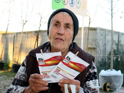 Unajmite živo božićno drvce - rješenje koje nudi Grad Pula i komunalno poduzeće Pula Herculanea