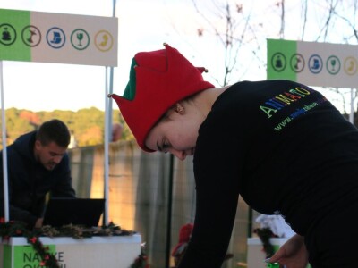 Unajmite živo božićno drvce - rješenje koje nudi Grad Pula i komunalno poduzeće Pula Herculanea