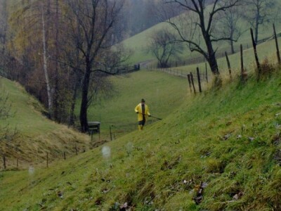 Unatoč kiši, radnik  ručno razbacuje stajsko gnojivo po pašnjaku